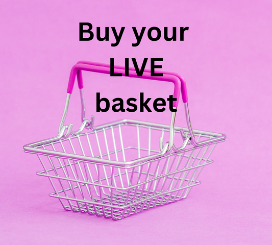 Buy your Basket